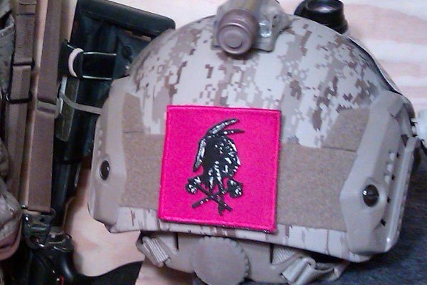 20130211145203-seal_gear_1