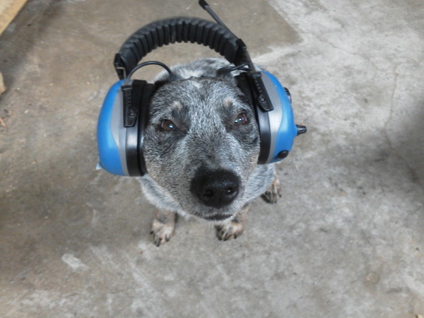 20130215091239-ear_phones