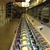 Chargetek Factory Where Chargers Will Be Made