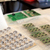 PCB boards + Shines