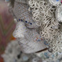 20120504182117-small