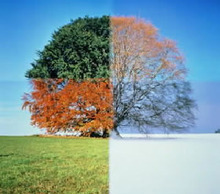 20120516151607-seasons-of-life-pictures
