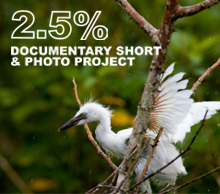 20120608094416-indiegogo-pic