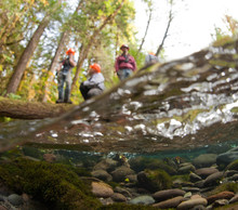 20120906125245-freshwatersillustrated-0003-4