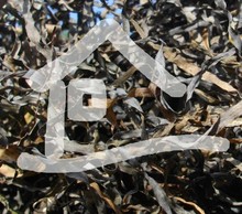 20120907035940-logo_bild3