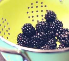 20121101184809-blackberries_01