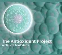 20121020105012-indiegogocover