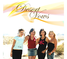 20121110080152-dsvs_1sheet_indiegogo