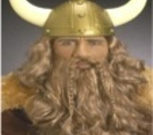 20121111150200-viking