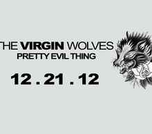 20121119205433-tvw-promo-indiegogo