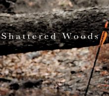 20121209113000-shattered_woods-small