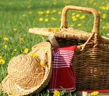 20121207063543-picnic_image