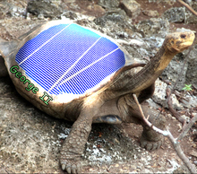 20130118005945-tortwithpanelslight
