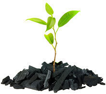 20130315144958-indiegogo-coalpic-220x194