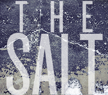 20130404222237-thesaltindie2