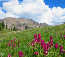 20130618114452-cdt_slideshow