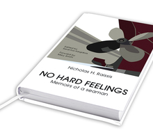 20130610100131-nohardfeelings_book