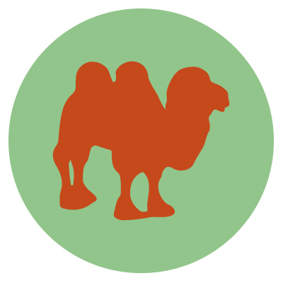 20130306072617-camel1