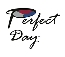20130328053316-perfectday_kickstarterpic