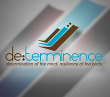 20130605175739-indiegogo_campaign_image