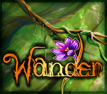 20130401231826-indiegogo_square_wander