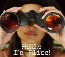 20130429064445-indiegogo-pic-text-imalice