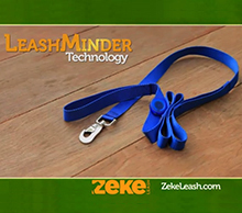 20130423072537-zleash