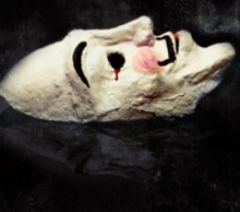 20130430103649-radical_poster_smaal_image_indigogo