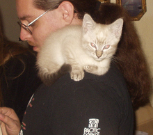 20130501120820-catpirate