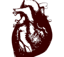 20130531135613-proximity-heart-b