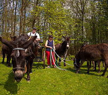 20130506114112-img_1468-klein