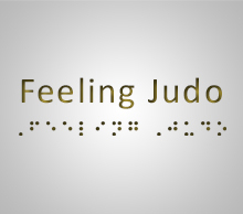 20130512184405-feeling-judo-indiegogo-gr