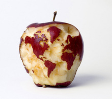 20130509230722-antsonanapple5
