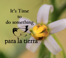 20130612173237-its_time_take_6_sized