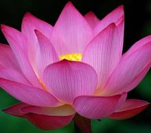20130511220721-tula_massage_and_wellness