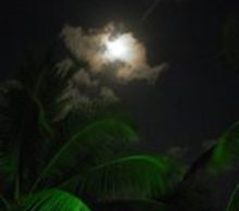 20130513164201-moon_over_palms_small