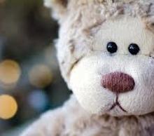 20130524100715-bear