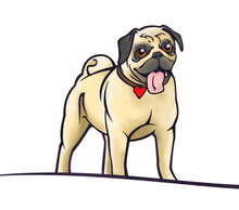 20130605090650-pug_alone