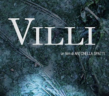 20130611025918-villi__logo