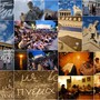 20120113054231-1-imagekatalysis20120113-15161-rgs76e-0