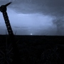20111224080443-awakened_spirit20111224-20104-1i29yaq-0