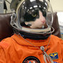 20111227141127-space_kitty20111227-23355-16tma3d-0
