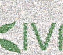 20120131220135-kiva_ent