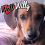 20120221115426-willy