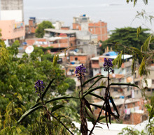 20120324143839-favela_verde2