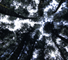 20120405192536-122_0-00-00-00_