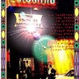 20120417104300-20palomino