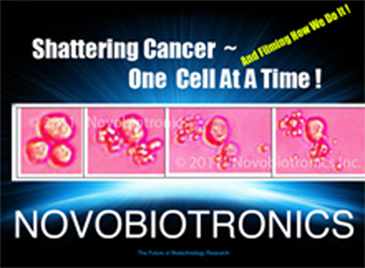 Novobiotronics Custom Logo